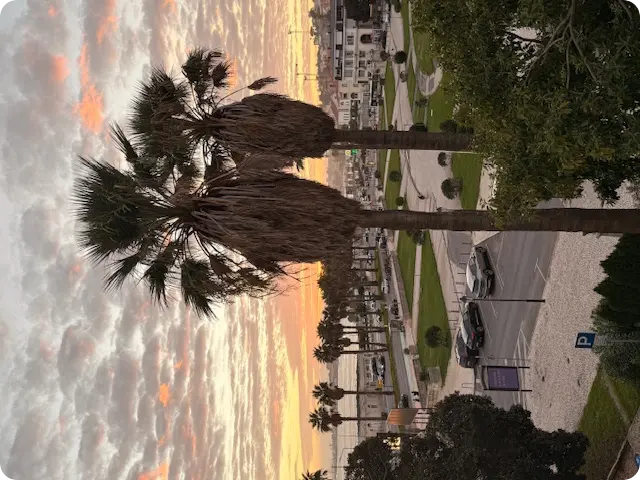 lisa visa testimonial USA Portugal