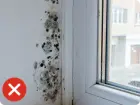 Mold wall